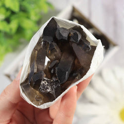 Smoky Quartz Clusters in a Flat (Small)