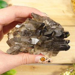 Smoky Quartz Clusters | Smoky Quartz