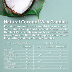 7.2oz Passport Candle: Aspen | blue spruce with juniper and birch