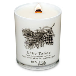 7.2oz Passport Candle: Aspen | blue spruce with juniper and birch