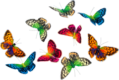 Butterfly Garland Colorful Royals - THH14