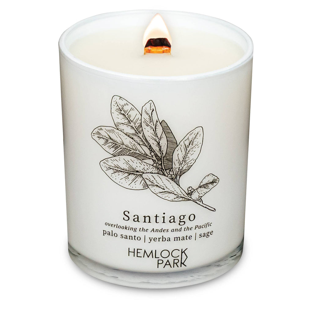 7.2oz Passport Candle: Aspen | blue spruce with juniper and birch