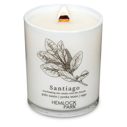 7.2oz Passport Candle: Aspen | blue spruce with juniper and birch