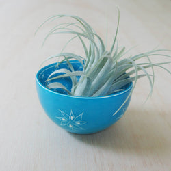 Two Pattern Bowl: Green