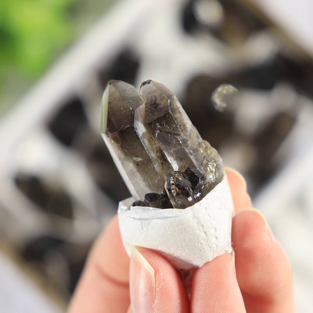 Smoky Quartz Clusters in a Flat (Small)