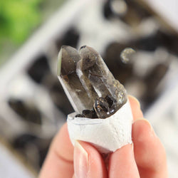 Smoky Quartz Clusters in a Flat (Small)