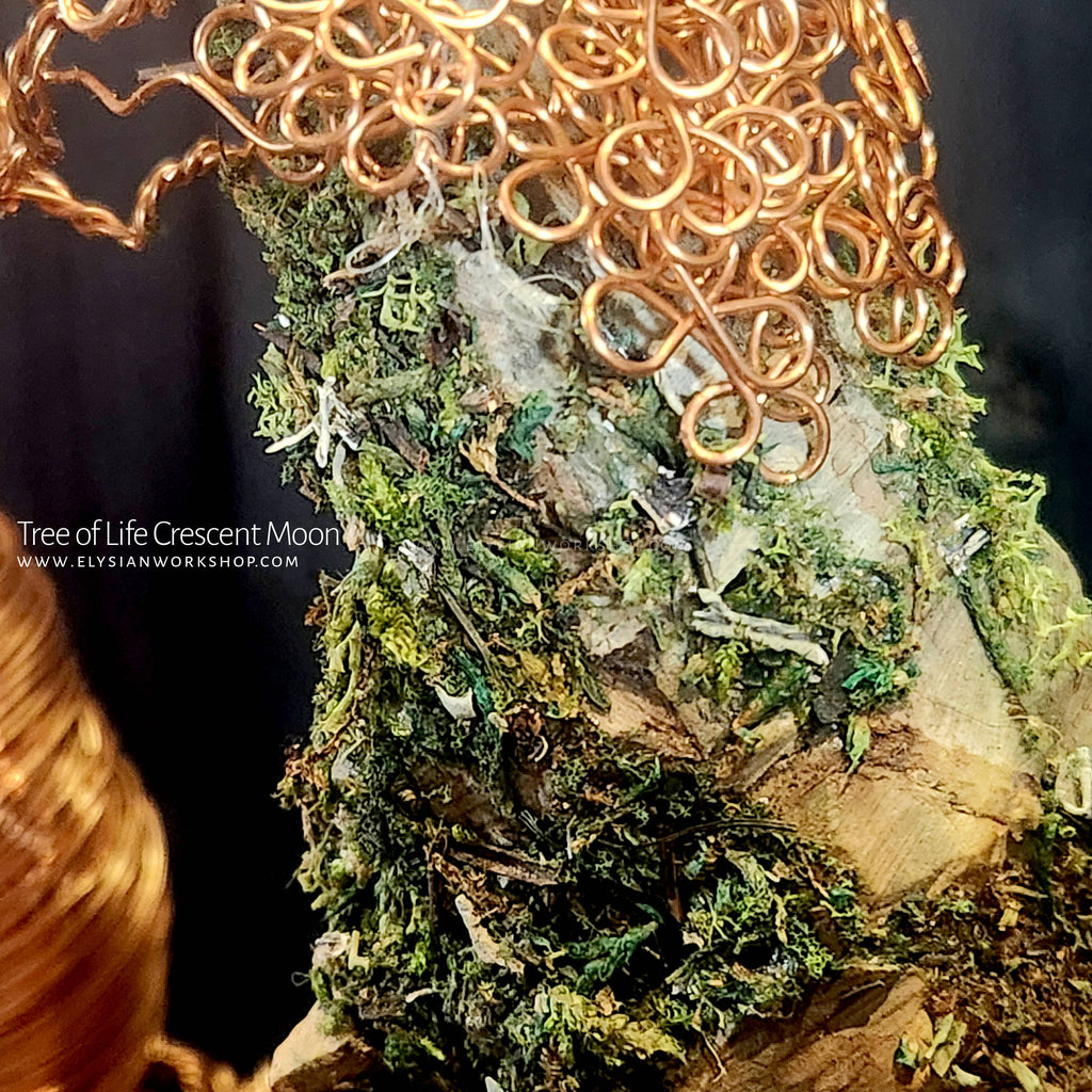 Tree of Life Crescent Moon Copper Wire on Ohko Stone