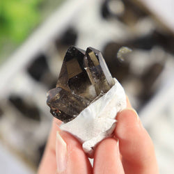 Smoky Quartz Clusters in a Flat (Small)