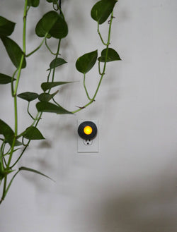 Nature's LED Stone Night Light