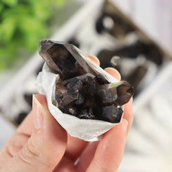 Smoky Quartz Clusters in a Flat (Small)