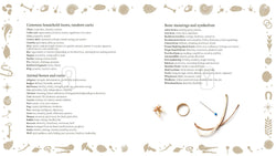 Throwing Bones, Crystals, Stones, and Curios-Mystic Dylan