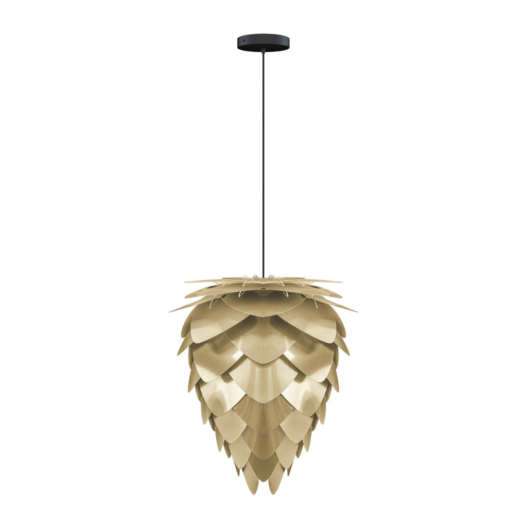 Conia Brass Medium Hardwired Pendant