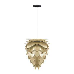 Conia Brass Medium Hardwired Pendant, Black Cord