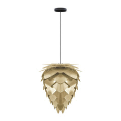 Conia Brass Medium Hardwired Pendant