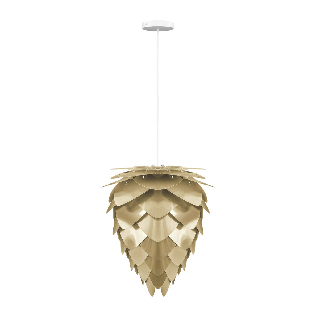 Conia Brass Medium Hardwired Pendant