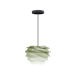 Carmina Mini Hardwired Pendant in Amazonas, Black Cord