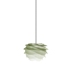 Carmina Mini Plug-In Pendant in Amazonas, Black Cord