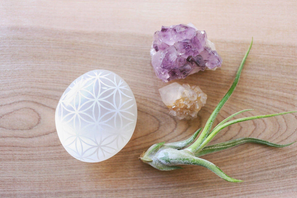 Etched Selenite Palmstone 