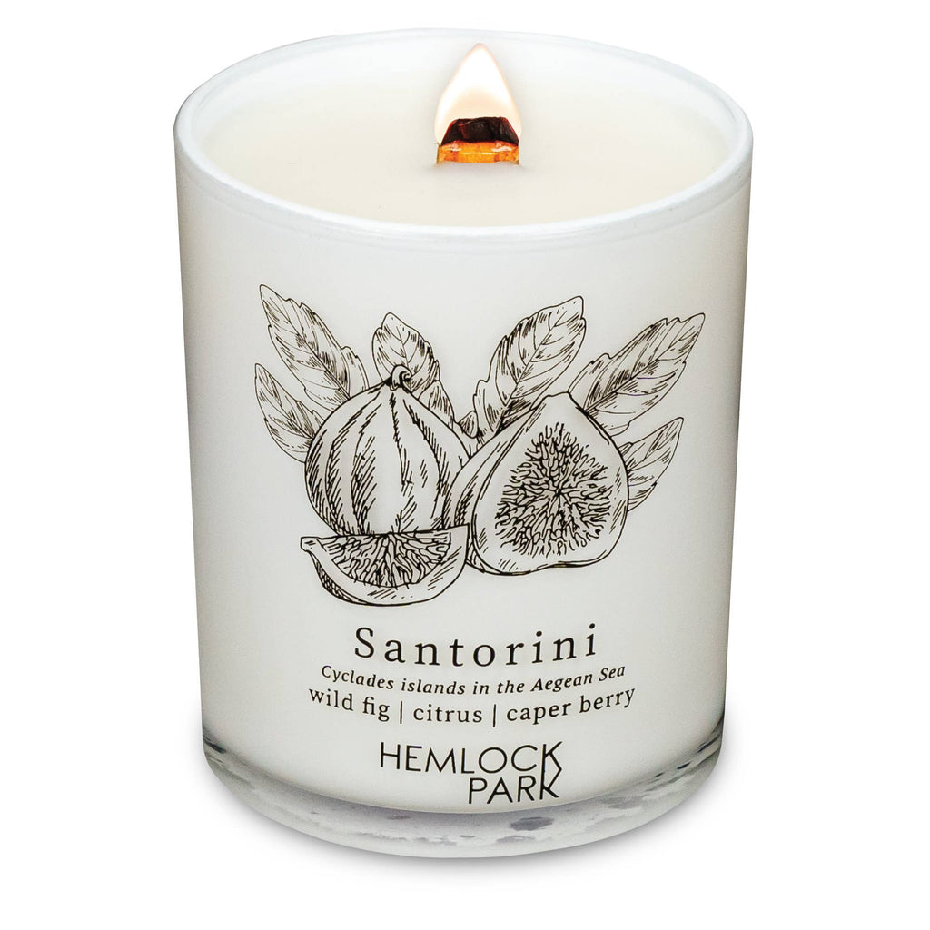 7.2oz Passport Candle: São Paulo | bergamot, cedar, maracujá, açaí