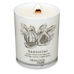 7.2oz Passport Candle: São Paulo | bergamot, cedar, maracujá, açaí
