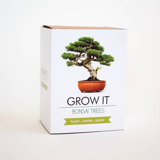 grow own bonsai tree Bonsai Trees Grow It