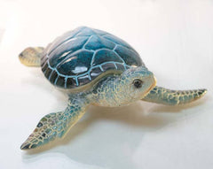 Blue Turtle 8