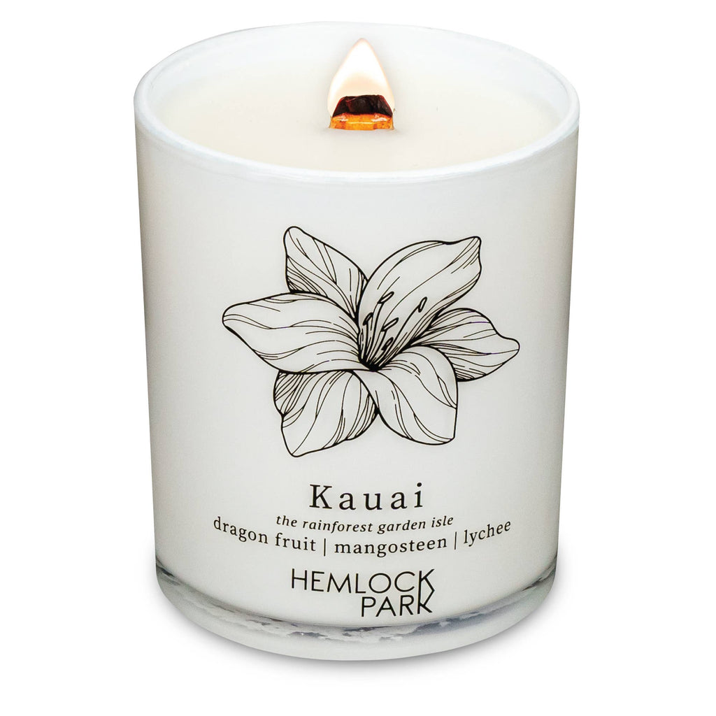 7.2oz Passport Candle: Aspen | blue spruce with juniper and birch