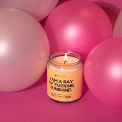 I Am A Ray Of F*cking Sunshine - Funny Flames Candle: 4oz