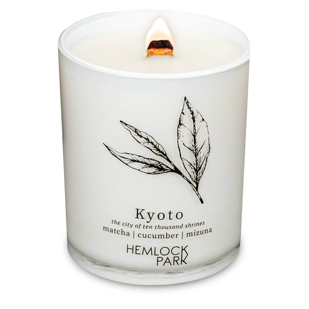 7.2oz Passport Candle: Aspen | blue spruce with juniper and birch