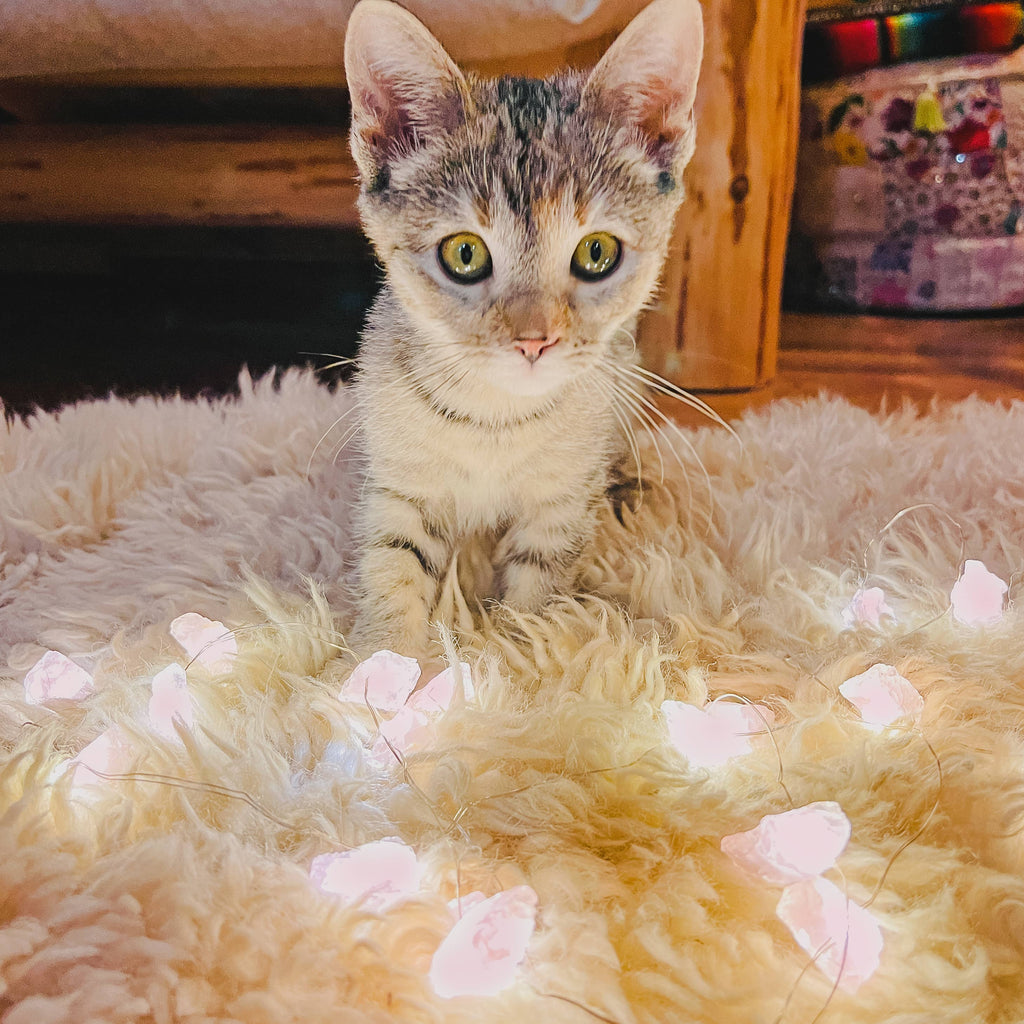 Love Lights ~ Crystal String Lights ~ Rose Quartz