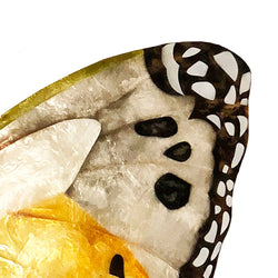 Butterfly Wall Decor Monarch, Capiz & Metal, Outdoor Safe