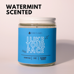 I Like Your Face - Funny Couple Candle Gift