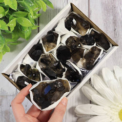 Smoky Quartz Clusters in a Flat (Small)