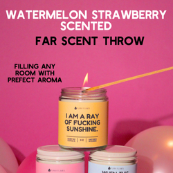I Am A Ray Of F*cking Sunshine - Funny Flames Candle: 4oz
