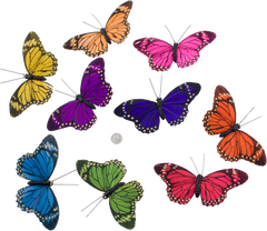 Rainbow Monarch Butterfly Galrand - THH1314
