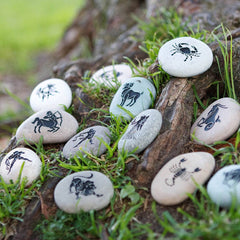 Miracle Stones - Beach Pebbles engraved with Zodiacs 2