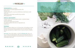 Basic Fermentation: A DIY Guide to Cultural Manipulation
