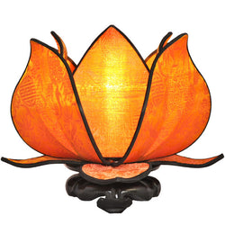 Baby Blooming Lotus Lamp, Sun