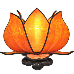 Baby Blooming Lotus Lamp, Sun