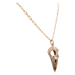 Bronze Bird Skull Necklace on 24