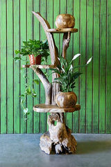 Harini Driftwood Stand with 3 Teak Shelves