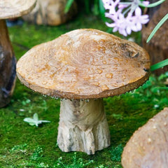 Teak Mushroom - Small