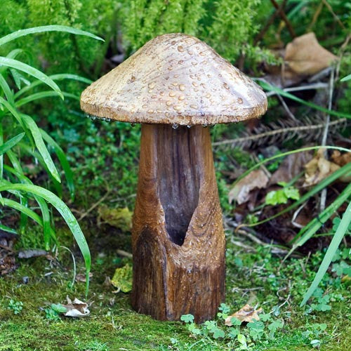 Teak Mushroom - Large
