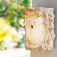 Owl in Wall Stump