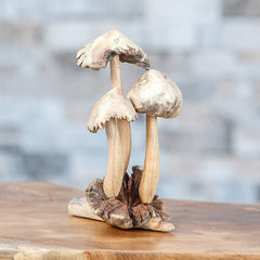 Three Mushrooms