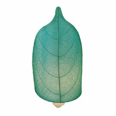 Leaf Night Light Sea Blue