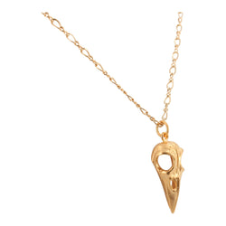 Gold Bird Skull Necklace on 24