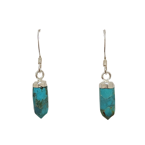 New Stones! Silver Gemstone Point Dangle Earrings