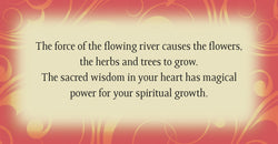 Buddha Wisdom Divine Feminine Cards
