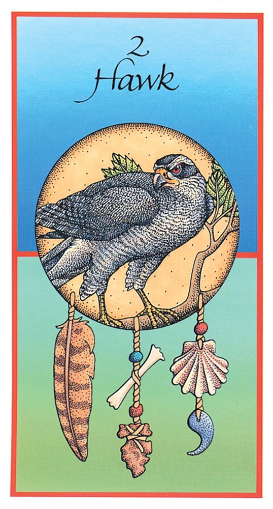 Medicine Cards Tarot Deck & Book